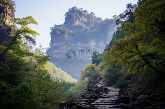 崎岖山林中的石板路图片