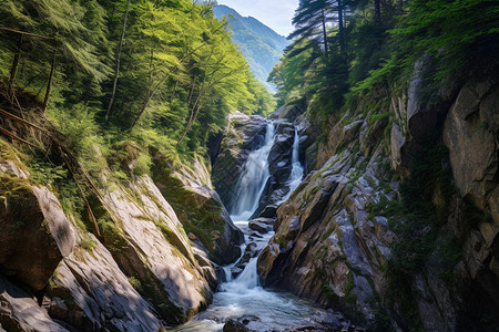 夏季山间瀑布的美丽景观图片