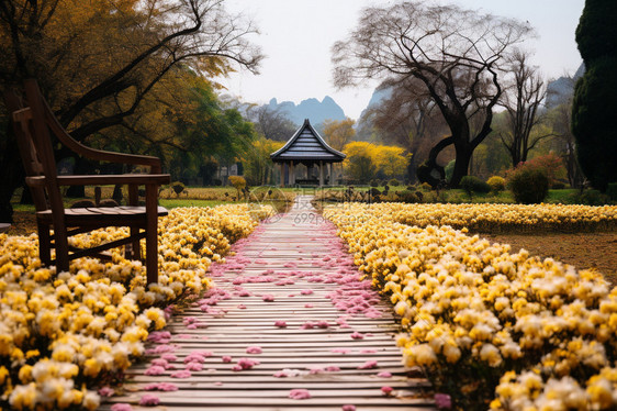 公园中美丽的花海景观图片