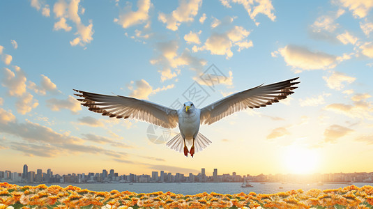 田鹀鸟类展翅的海鸥背景