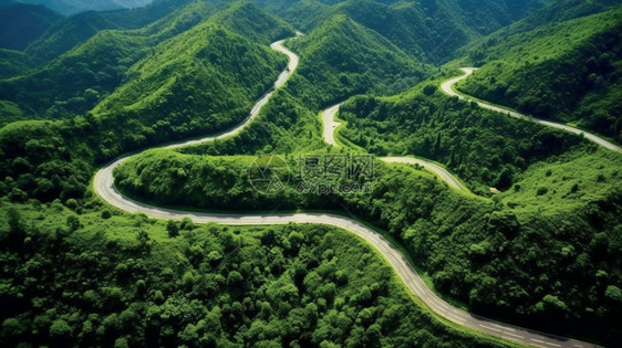 森林中的道路图片