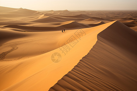 穿越在茫茫沙漠中图片