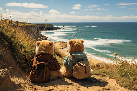 泰迪熊与海景图片