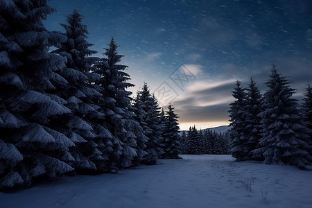 冬夜林间飘雪图片