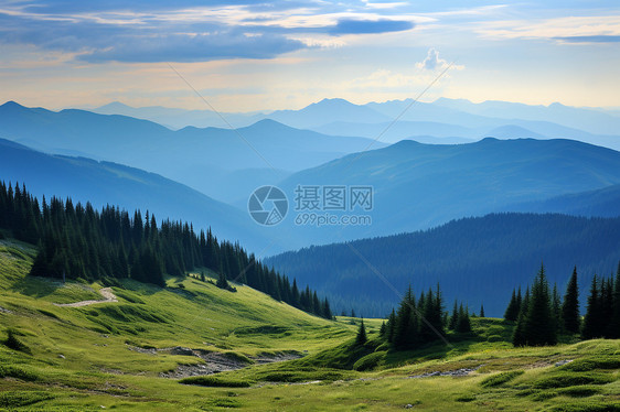 高山上的青草地图片