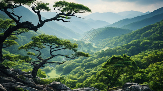 巍峨的山巅树木背景图片