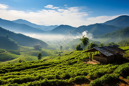 翠绿的山脚下的小屋图片