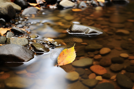 秋天的水流图片