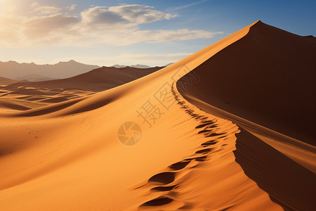 宽广的沙漠图片