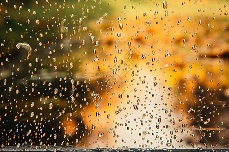秋雨中的细密雨滴图片