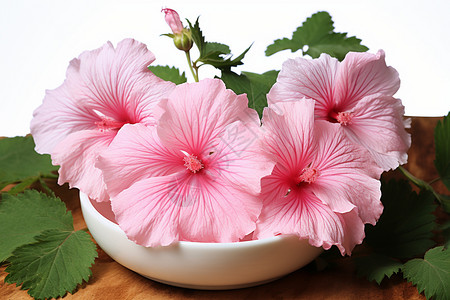 粉色花朵的木头餐桌上图片