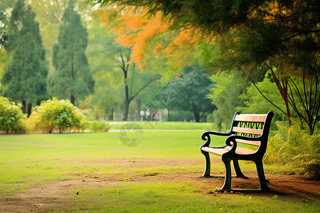 公园的草地和椅子图片