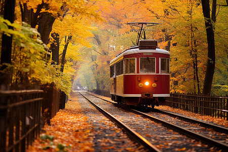秋季浪漫的林中列车图片