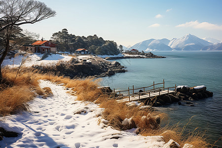 冬季美丽的海边景色图片