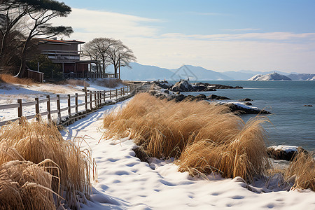 冬季寒冷的海边公园图片