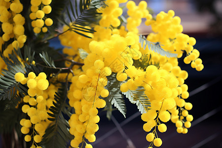 黄色花朵盛开图片