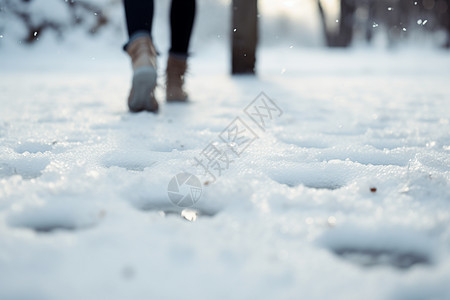 冬日追风逐雪图片