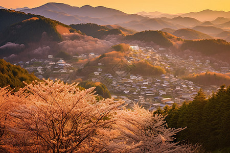 清晨宁静的山村图片