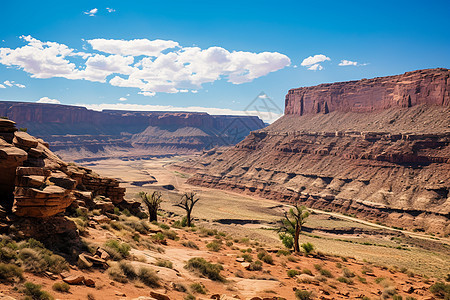 壮观的沙漠大峡谷景观图片