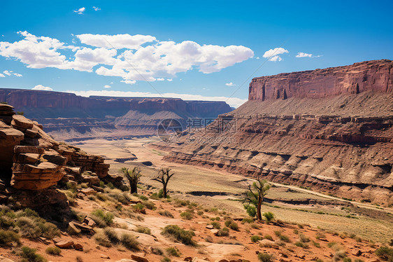 壮观的沙漠大峡谷景观图片