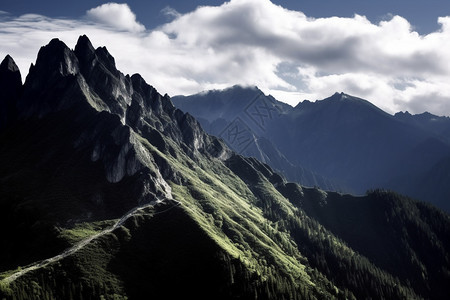 郁郁葱葱的山间景观图片