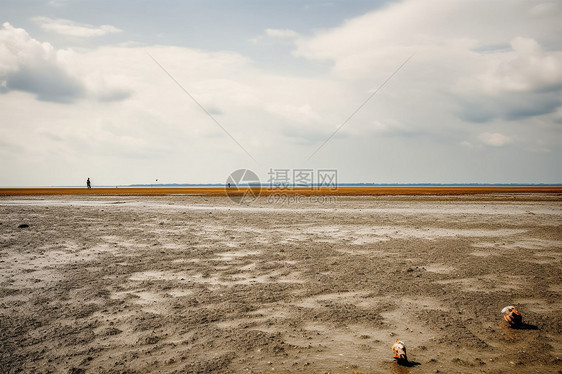 沼泽海滩图片