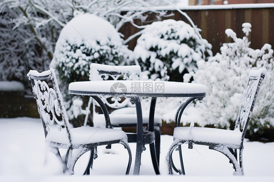 白雪覆盖的庭院图片