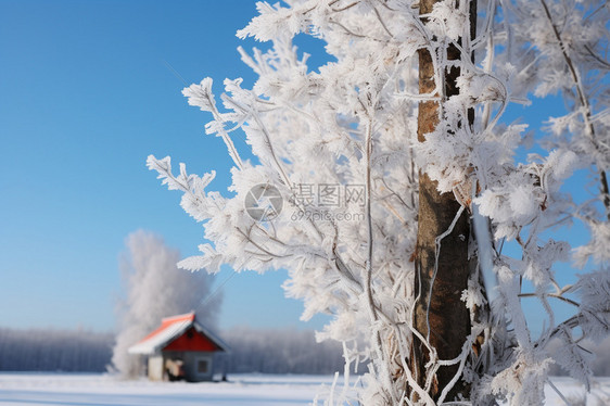 蓝天下的户外雪地图片