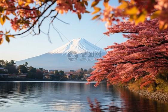 漂亮的富士山图片