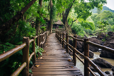 丛林中的小屋背景图片