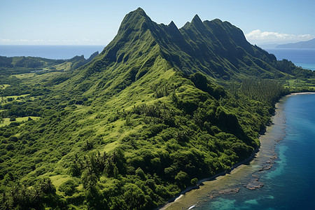 翠绿的山峦依山傍海高清图片