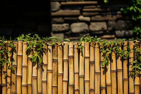 竹子装饰绿茵丛林背景