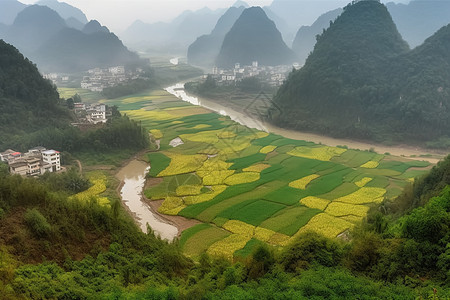 山区的农田图片