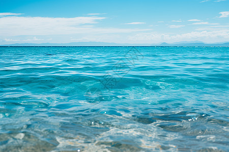 海里游泳海浪的微笑背景