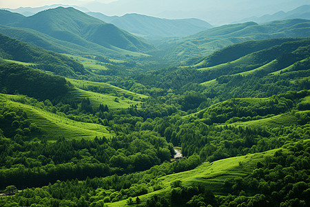 丛林山谷图片