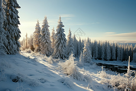 梦境森林冰雪夢境背景