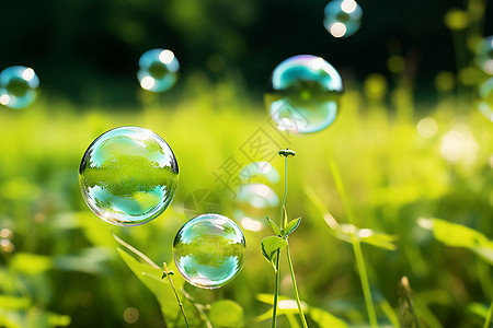 泡泡浮在青翠的草地上高清图片