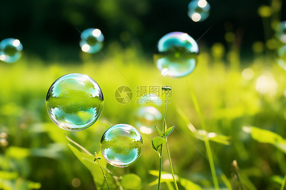 泡泡浮在青翠的草地上图片