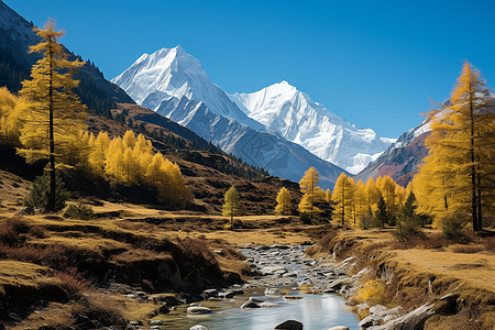 雪山森林自然风景图片