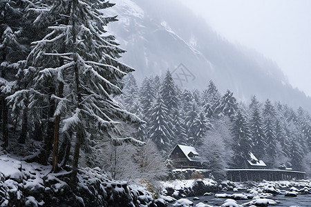 雪中的乡村景色背景图片