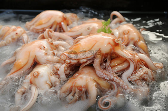 新鲜的章鱼海鲜图片