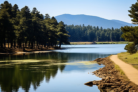 湖光岩绿色天堂的森林湖泊景观背景