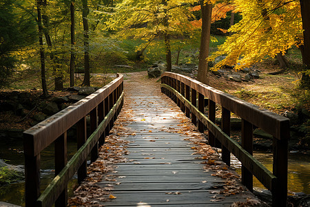 秋叶覆满木桥的美丽景观图片