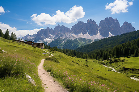 夏季山峰中森林的美丽景观图片