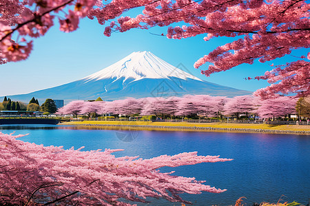 著名的富士山景观图片