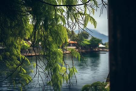 湖光山色的美丽景观图片