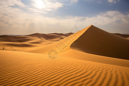 沙漠中的沙丘景观图片