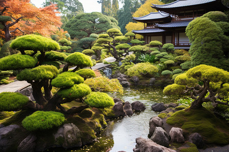 日式园林绿化庭院景观图片