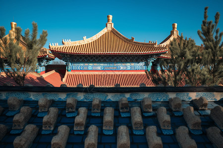 奢华的中式传统宫殿建筑图片