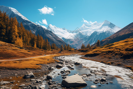 秋季静谧的高山溪流景观图片